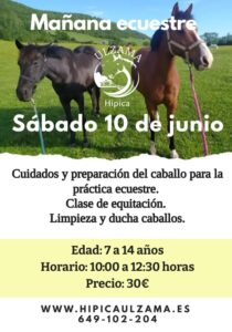 Copia de Horse Riding Poster - Hecho con PosterMyWall (5)